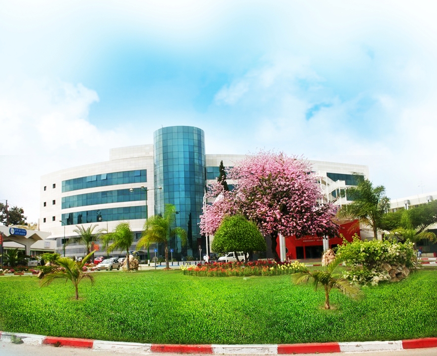 המדריך להפריה חוץ -גופית