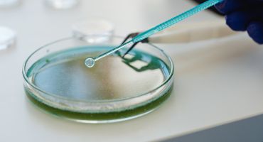 מחקר יזם ומחקר חוקר יזם