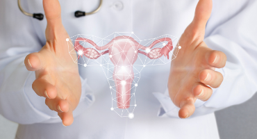 Imaging – Institute