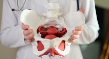 גישה מולטידיסציפלינרית לבעיות רצפת אגן