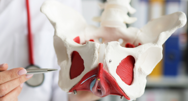 אורוגניקולוגיה ותחלואת רצפת האגן