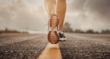 מבנה התוכנית: המסע שלכם