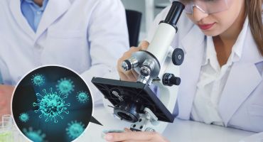 מחקר שלב 3 אקראי, כפול סמיות, מבוקר פלסבו, של בלקסימניב, ונטוקלקס ואזציטידין לטיפול במשתתפים עם אבחנה חדשה של לוקמיה מיאלואידית חריפה עם שינויים בגן KMT2A או מוטציות בגן NPM1 שאינם מתאימים לכימותרפיה אינטנסיבית.